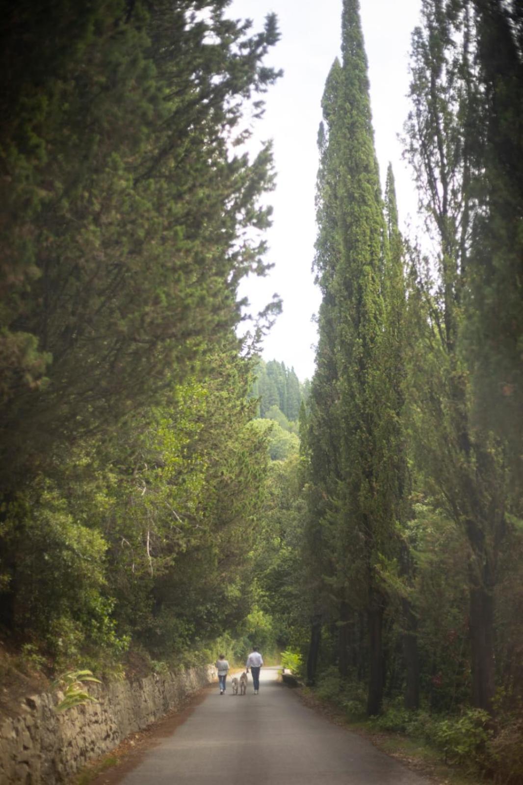Agriturismo Tassinaia Pontassieve Luaran gambar