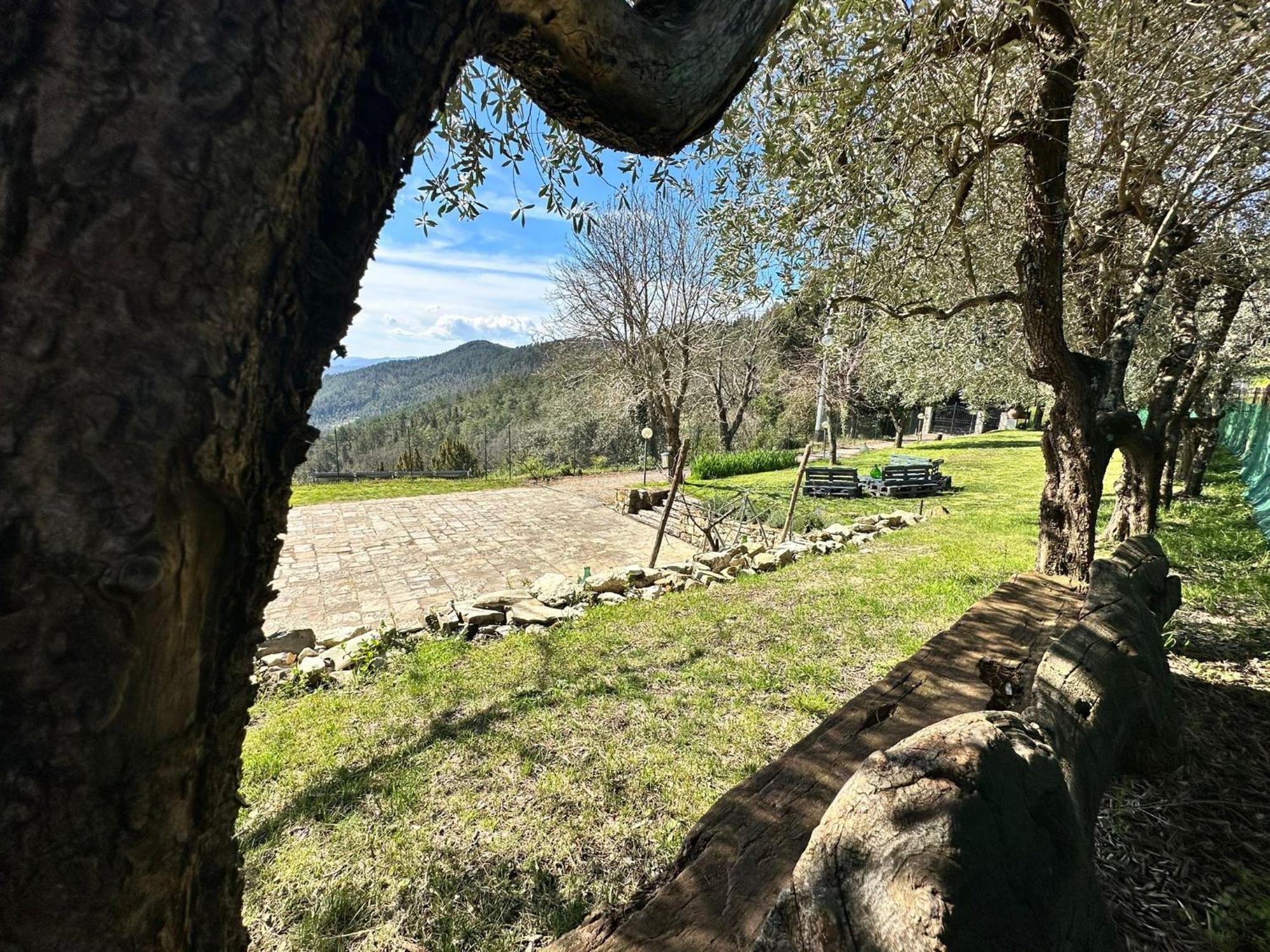 Agriturismo Tassinaia Pontassieve Luaran gambar
