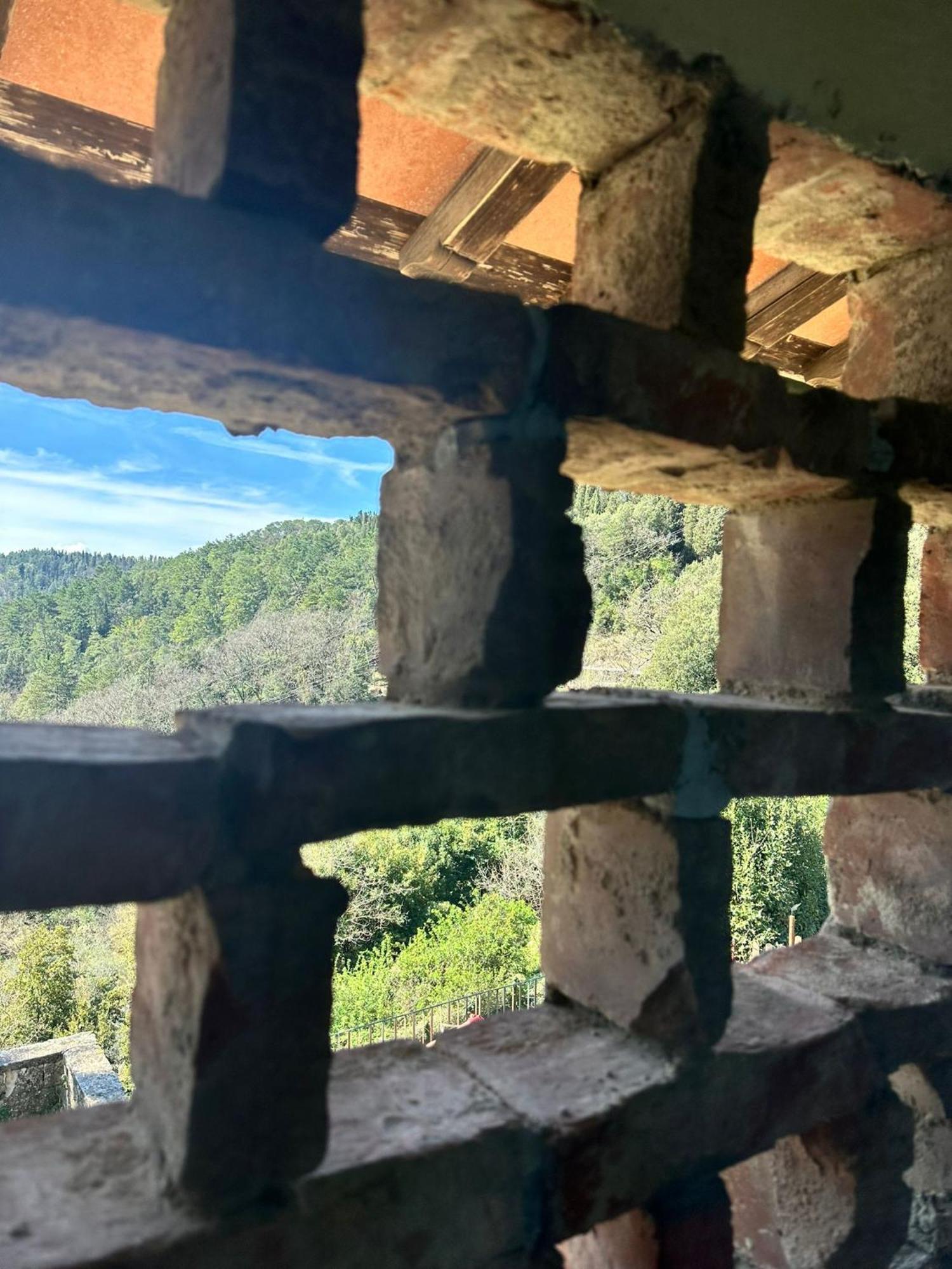 Agriturismo Tassinaia Pontassieve Luaran gambar