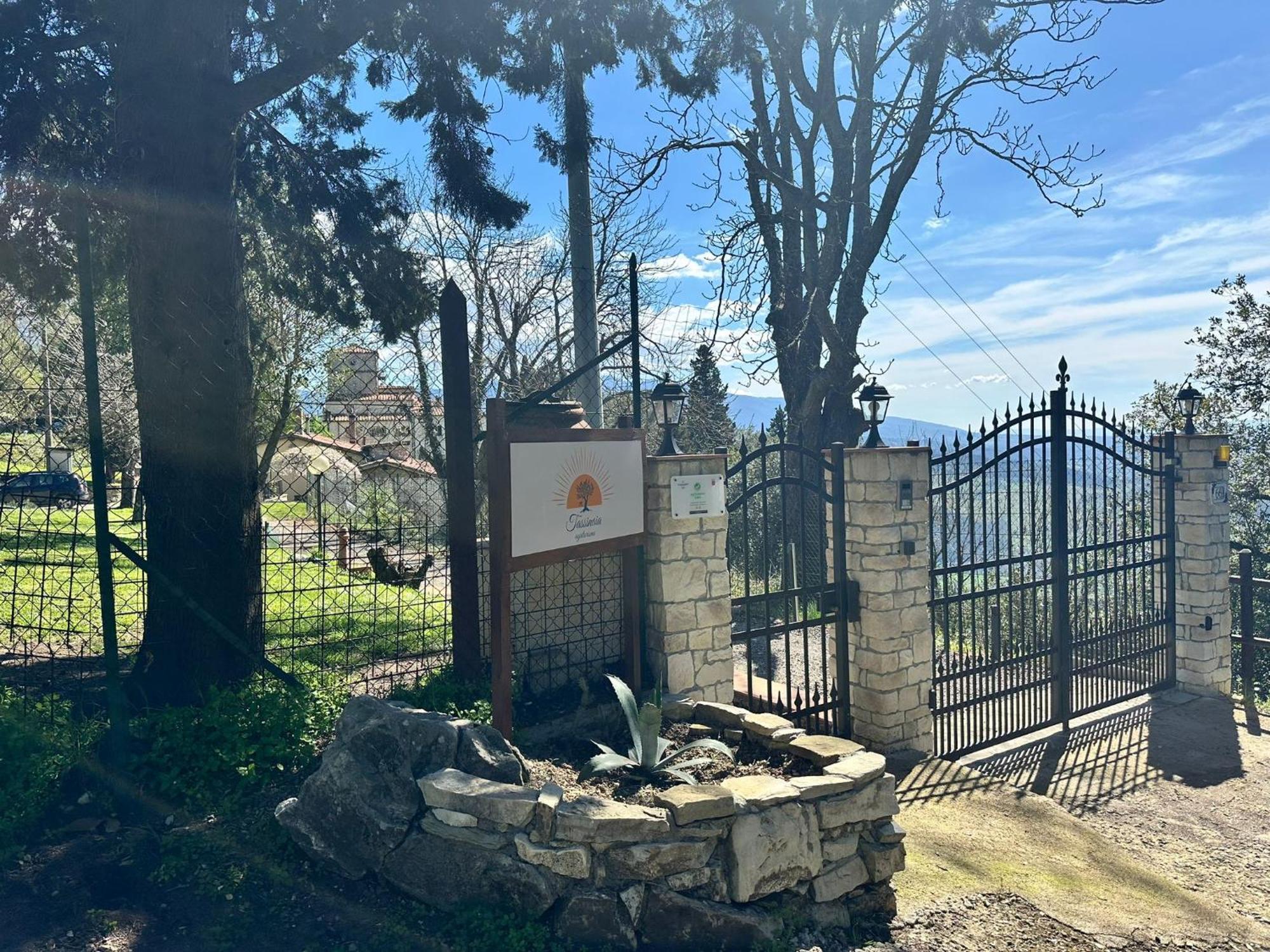 Agriturismo Tassinaia Pontassieve Luaran gambar